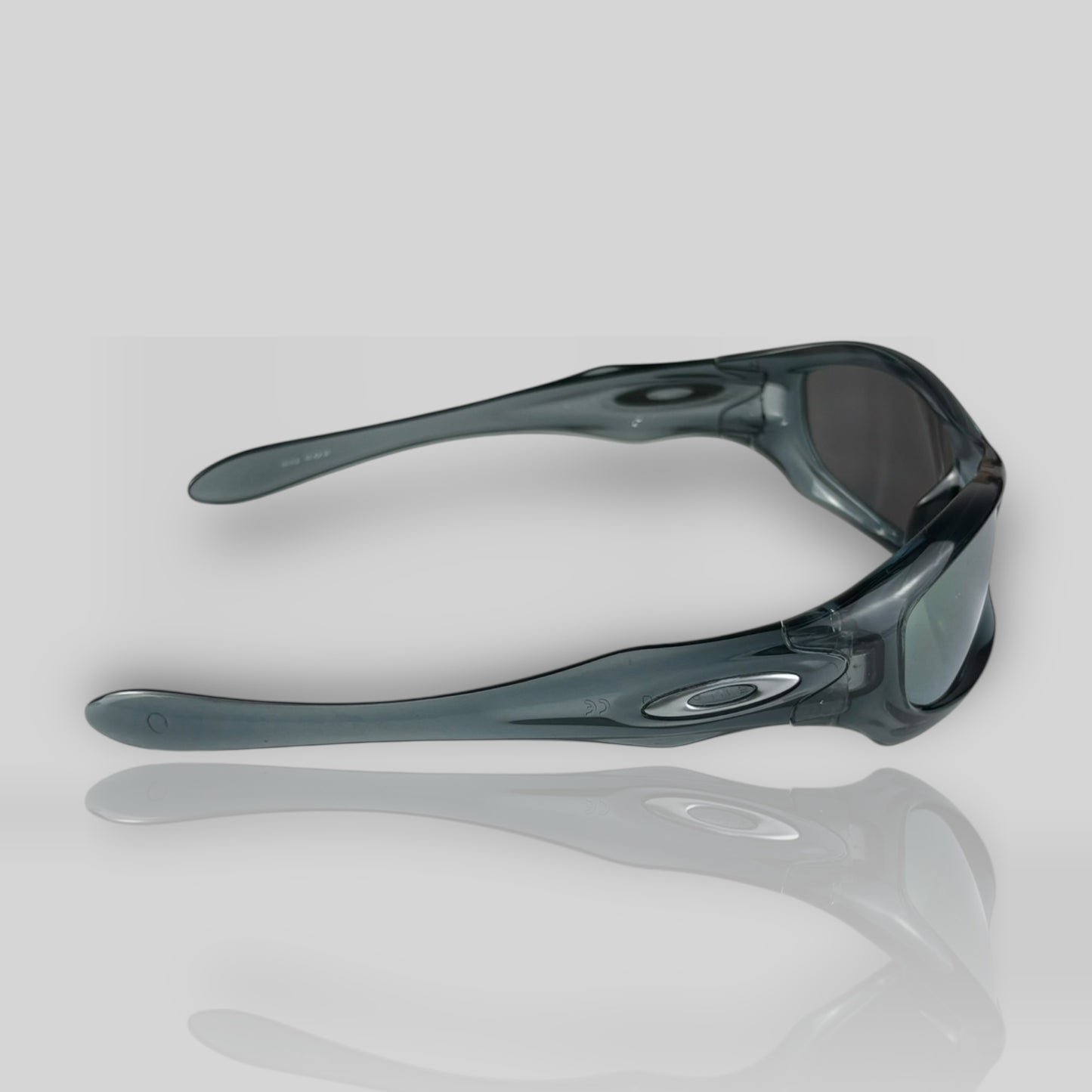 Monster Dog Crystal Black