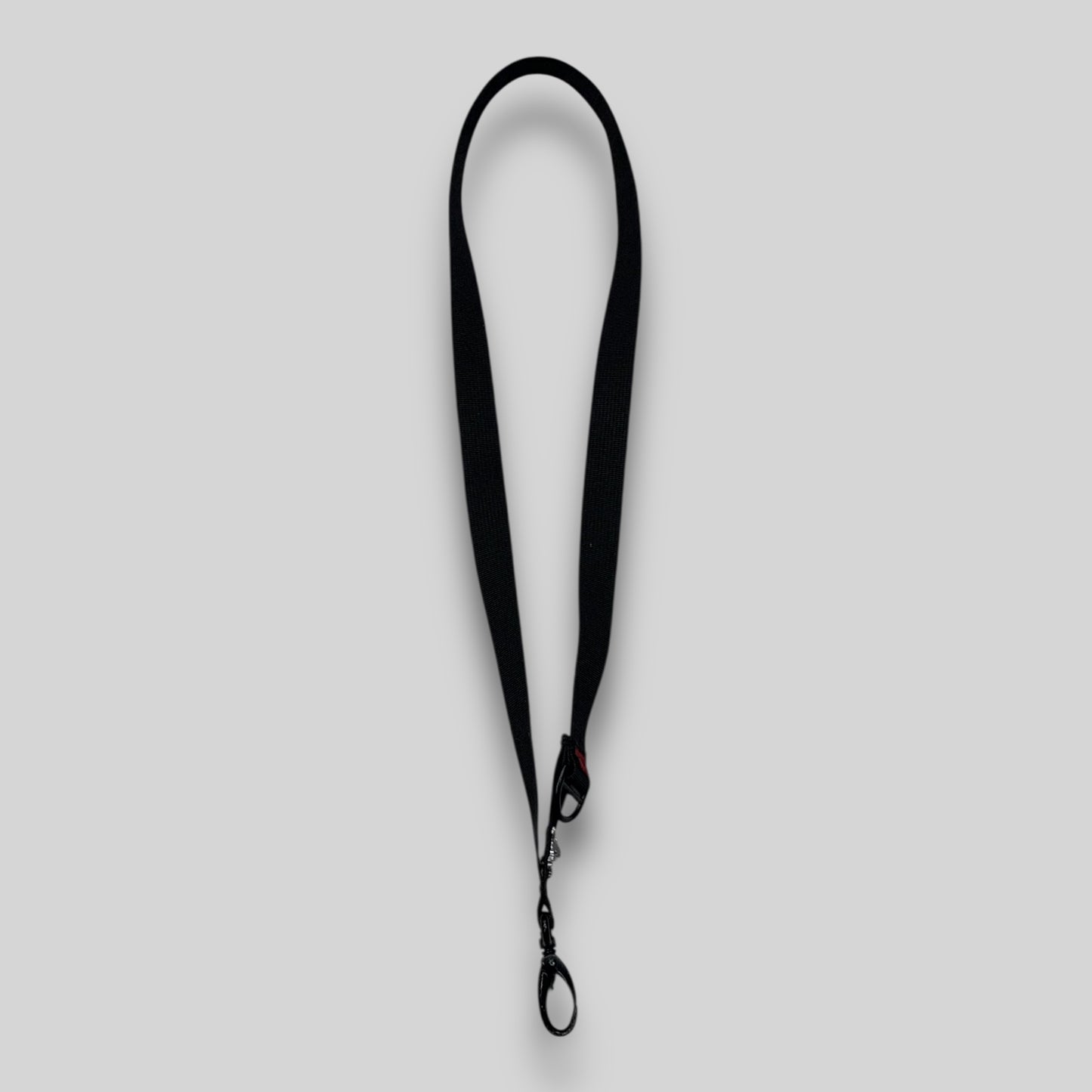 Lanyard